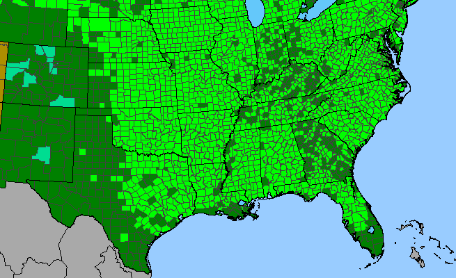 The range of Erigeron strigosus